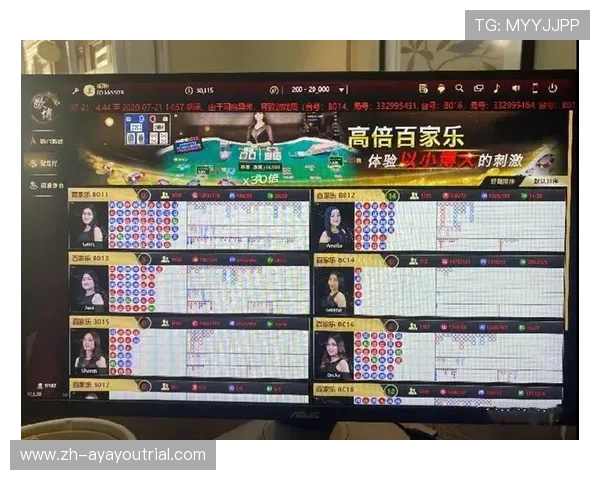 网络赌博百家乐的盈利模式与风险控制策略深入探讨如何在合法范围内合理控制风险实现收益